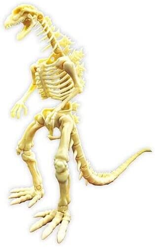 BANDAI Godzilla Skeleton EX Bone Glow In The Dark All 2 Set Capsule Toy Figure