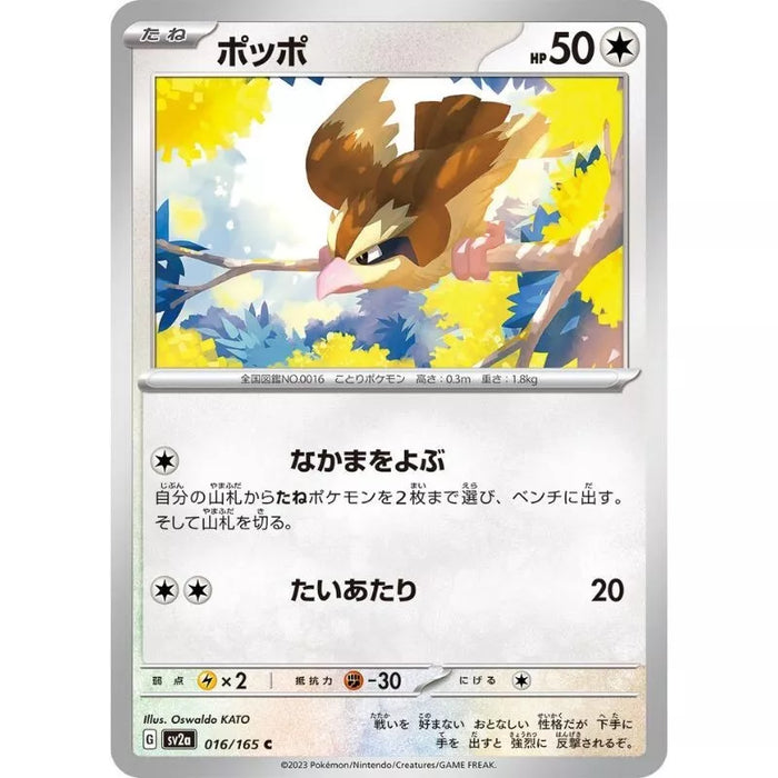 Pokemon Card Japanese 016/165 Pidgey sv2a TCG