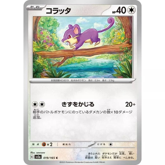 Pokemon Card Japanese 019/165 Raticate sv2a TCG