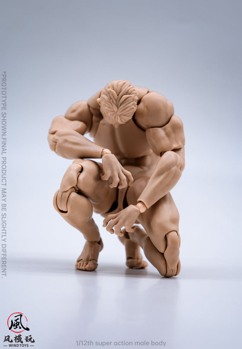 WIND TOYS Super Posable Figure Male Body Normal 1/12 Action Figure JAPAN