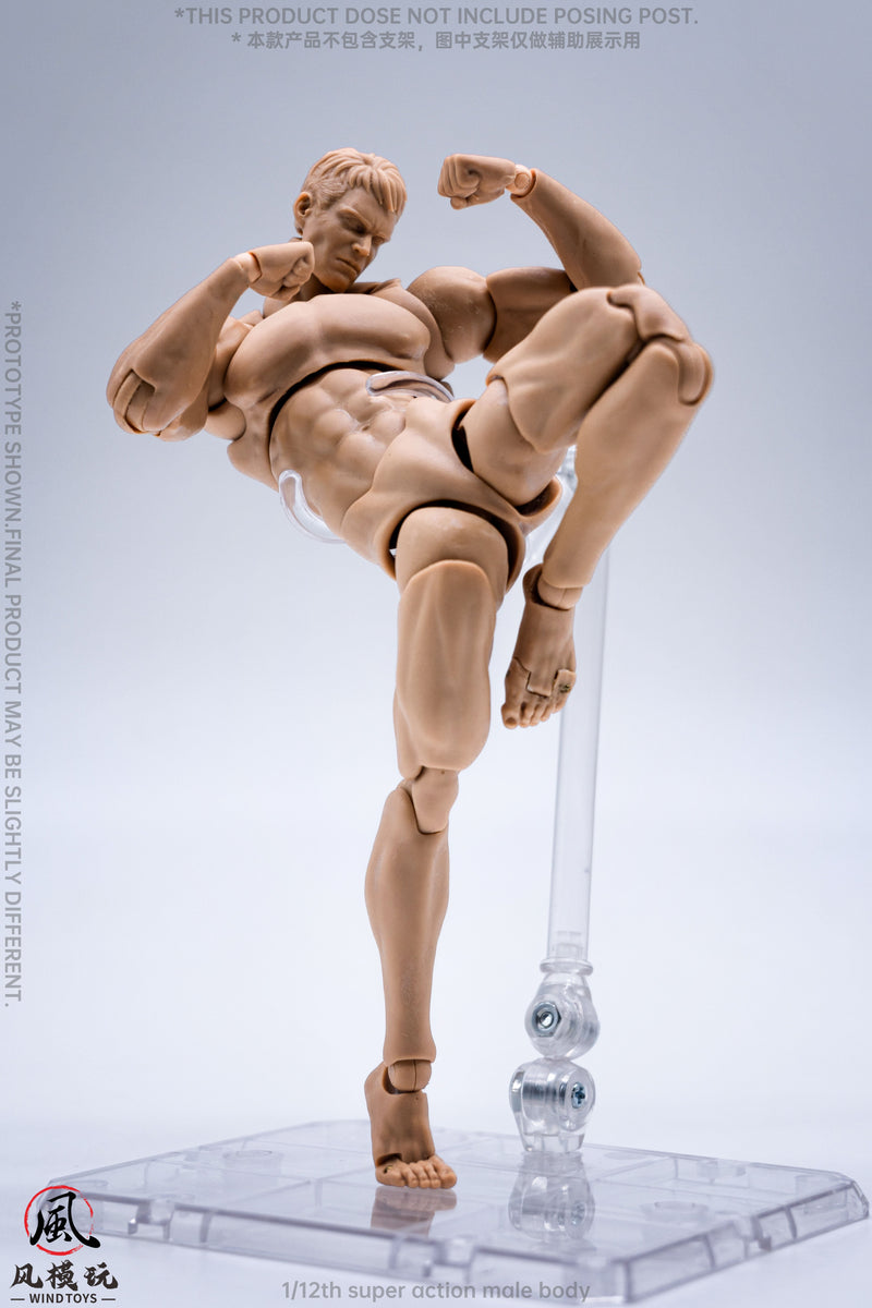 WIND TOYS Super bewegliche Figur männlicher Körper Normal 1/12 Actionfigur JAPAN