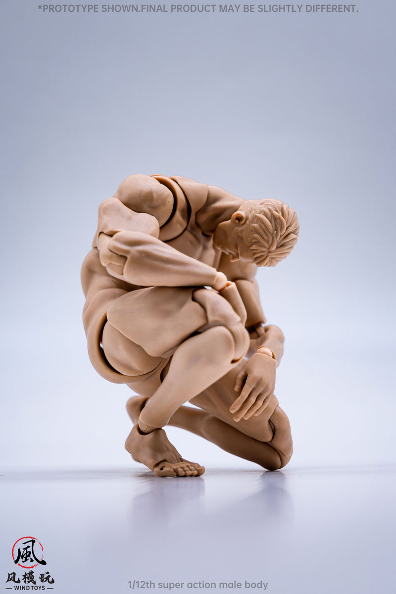 WIND TOYS Super bewegliche Figur männlicher Körper Normal 1/12 Actionfigur JAPAN