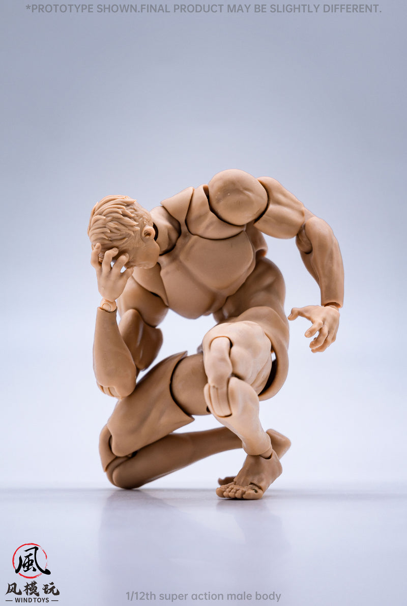WIND TOYS Super Posable Figure Male Body Normal 1/12 Action Figure JAPAN