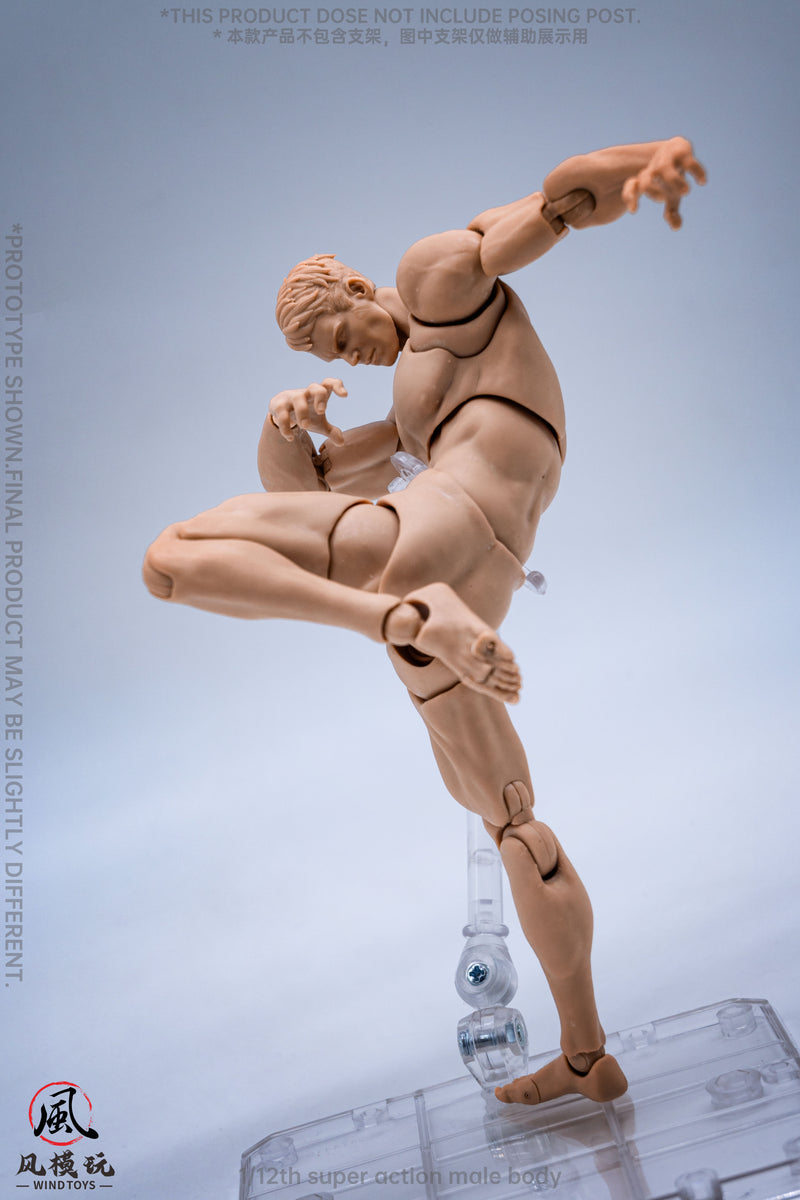 WIND TOYS Super bewegliche Figur männlicher Körper Normal 1/12 Actionfigur JAPAN