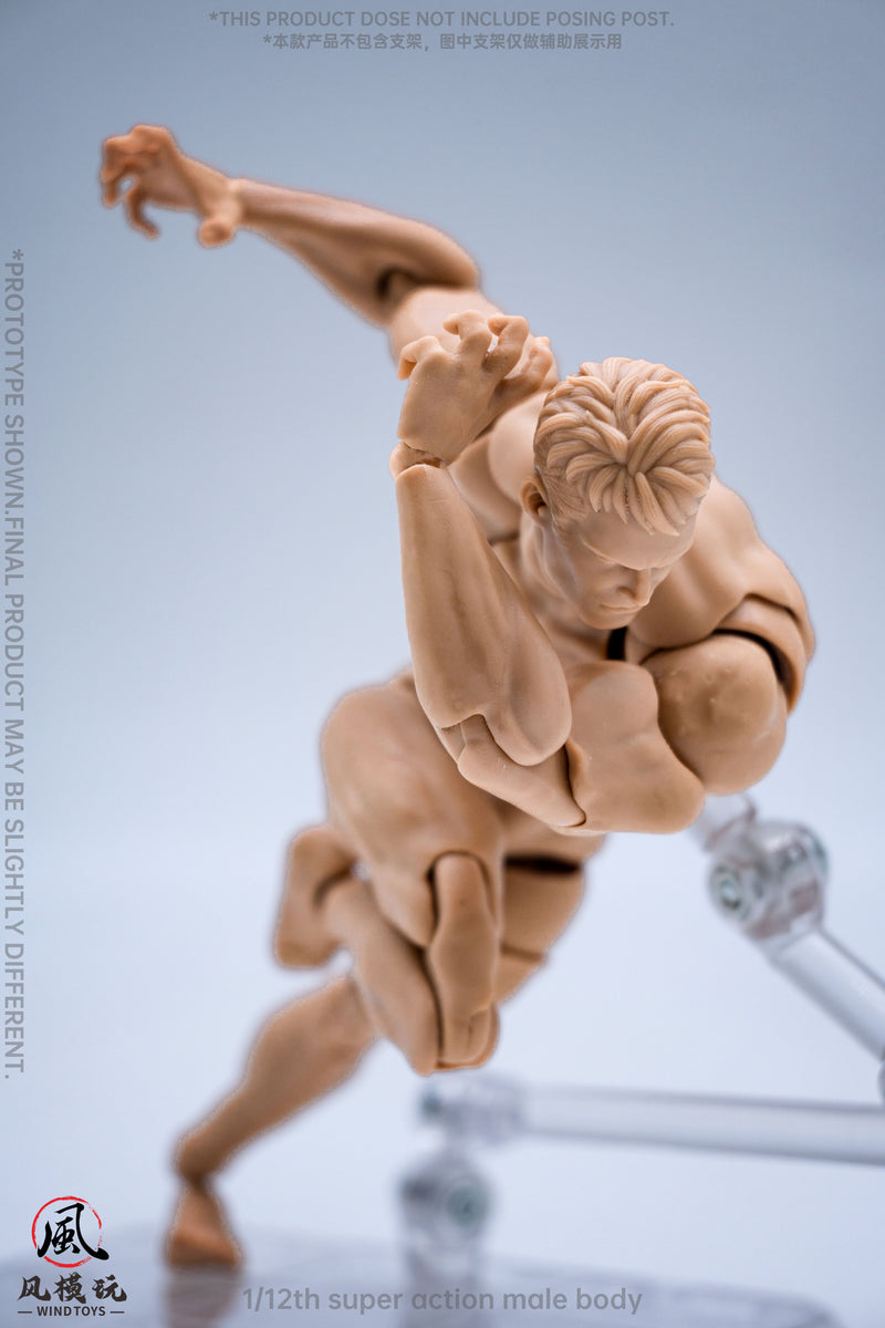 WIND TOYS Super Posable Figure Male Body Normal 1/12 Action Figure JAPAN