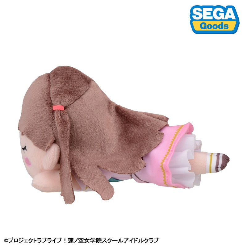 ¡Muñeco de peluche SEGA Nesoberi S Love Live! Megumi Fujishima Dream Believers JAPÓN