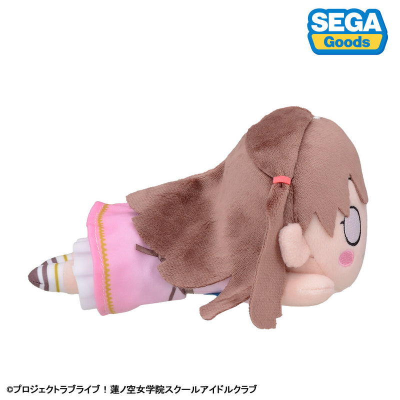 ¡Muñeco de peluche SEGA Nesoberi S Love Live! Megumi Fujishima Dream Believers JAPÓN
