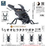 SO-TA Animalier Collection Dorcus Titanus 4Pack BOX 1/1 Figure JAPAN OFFICIAL