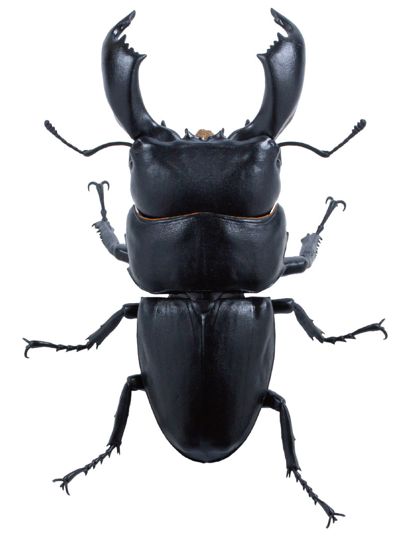 SO-TA Animalier Collection Dorcus Titanus 4Pack BOX 1/1 Figurine JAPON OFFICIEL