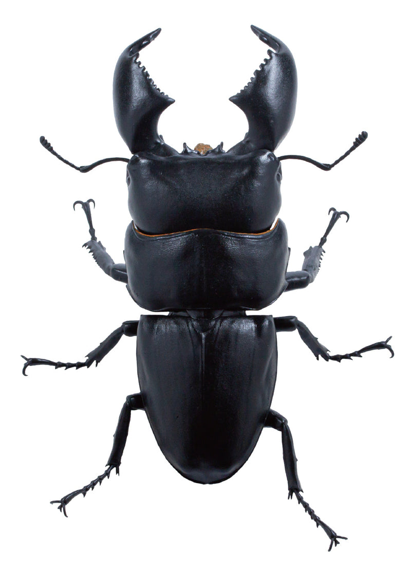 SO-TA Animalier Collection Dorcus Titanus 4Pack BOX 1/1 Figurine JAPON OFFICIEL