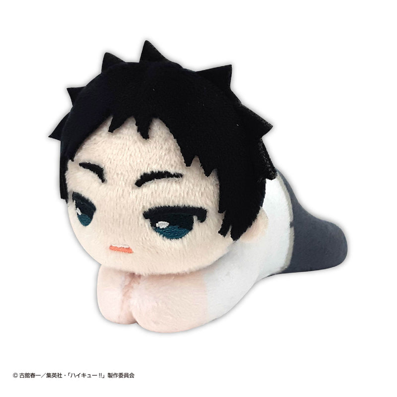 Haikyu!! Collezione Hugchara 6 Confezione da 6 SCATOLA Peluche UFFICIALE GIAPPONE