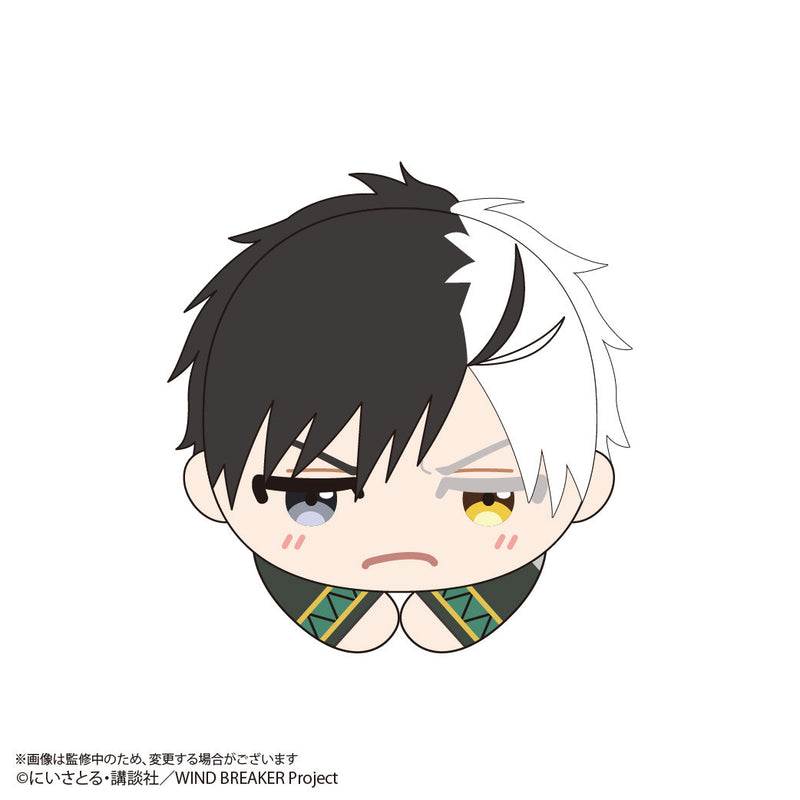 WIND BREAKER Hugchara Collection 3 6Pack BOX Plüsch JAPAN OFFIZIELL