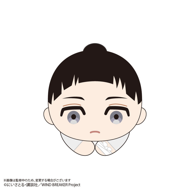 WIND BREAKER Hugchara Collection 3 6Pack BOX Plüsch JAPAN OFFIZIELL