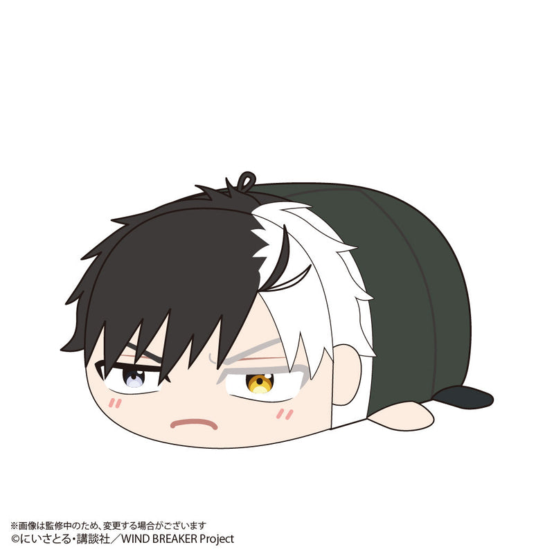 WIND BREAKER Potekoro Mascot 3 6Pack BOX Plüsch JAPAN OFFIZIELL