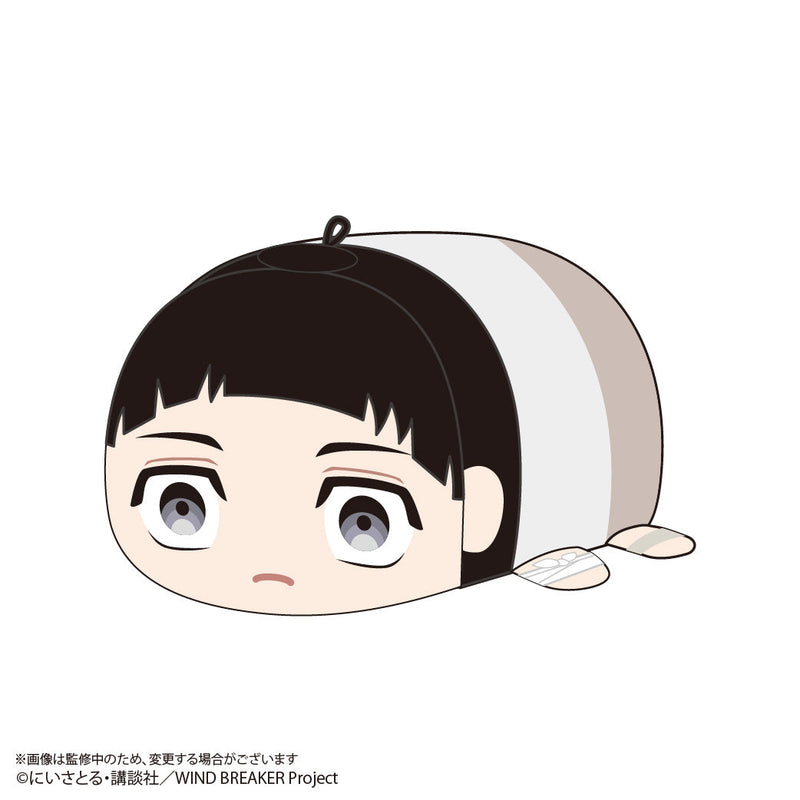 WIND BREAKER Potekoro Mascot 3 6Pack BOX Plüsch JAPAN OFFIZIELL