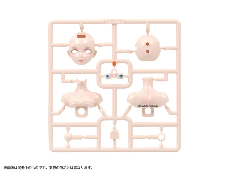 DIG Pripra Lady Torso 1/12 Kit modèle officiel du Japon