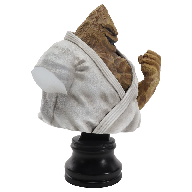 CCP JAPAN BMC Kinnikuman Series No.11 The Maunten Figure JAPAN OFFICIAL