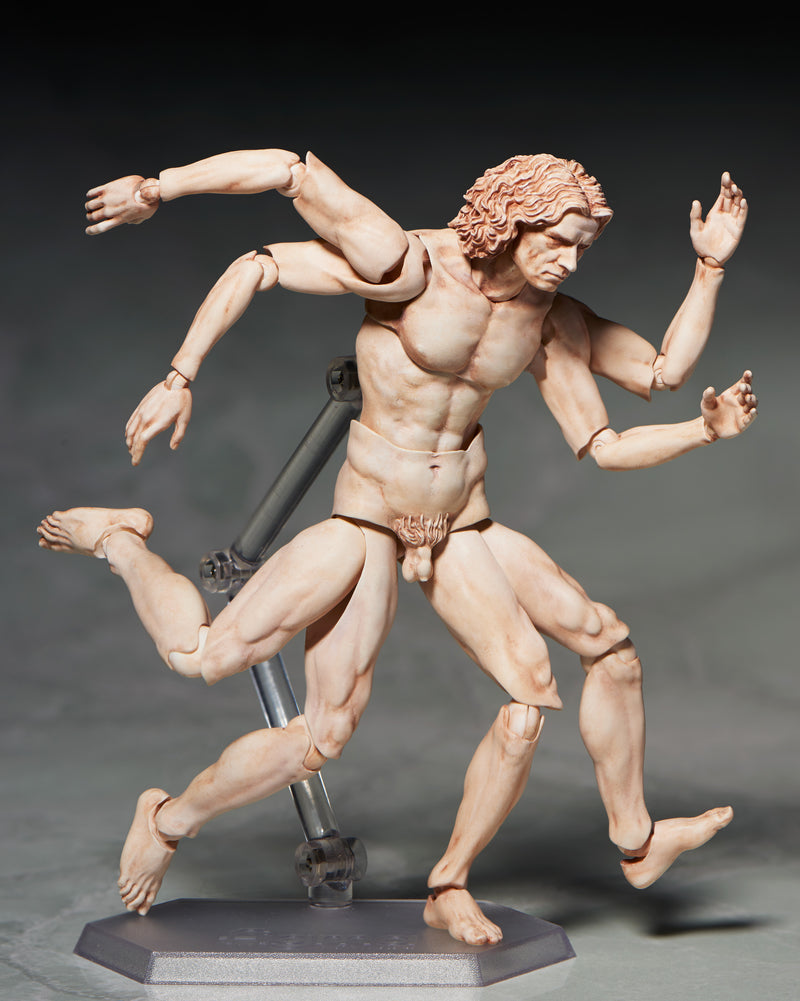 FREEing figma The Table Museum Vitruvian Man Action Figure JAPAN OFFICIAL