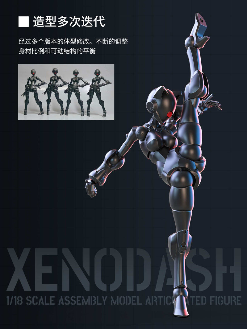 SHEIK MAINLAND 3 min project Series Xun Jie Yi Ren Black 1/18 Model Kit JAPAN