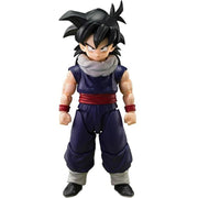 S.H.Figuarts Son Gohan with First Press Exclusive Z Warriors Group Base A Figure