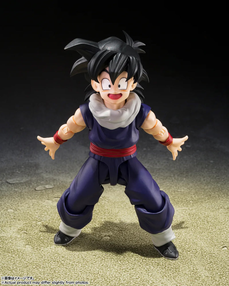 S.H.Figuarts Son Gohan with First Press Exclusive Z Warriors Group Base A Figure