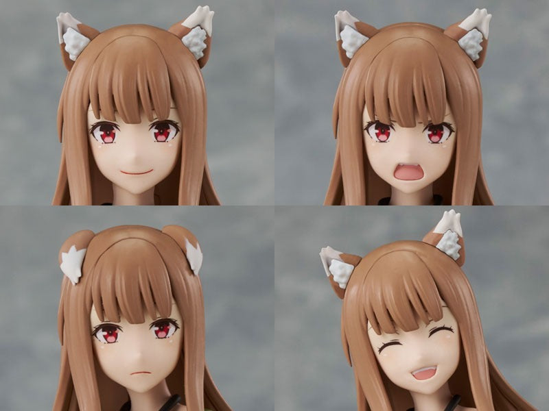 KADOKAWA Plastic Model Series Spice and Wolf WOLF Holo DX ver. Model Kit JAPAN