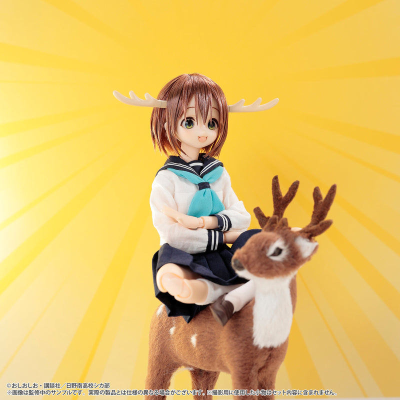 Pure Nemo Character Series My Deer Friend Nokotan Noko Shikanoko 1/6 Doll JAPAN