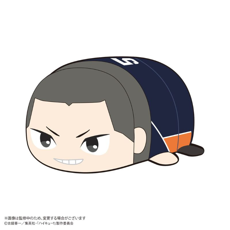 Haikyu!! PoteKoro Mascot Ryunosuke Tanaka Big 3 B Plush JAPAN OFFICIAL