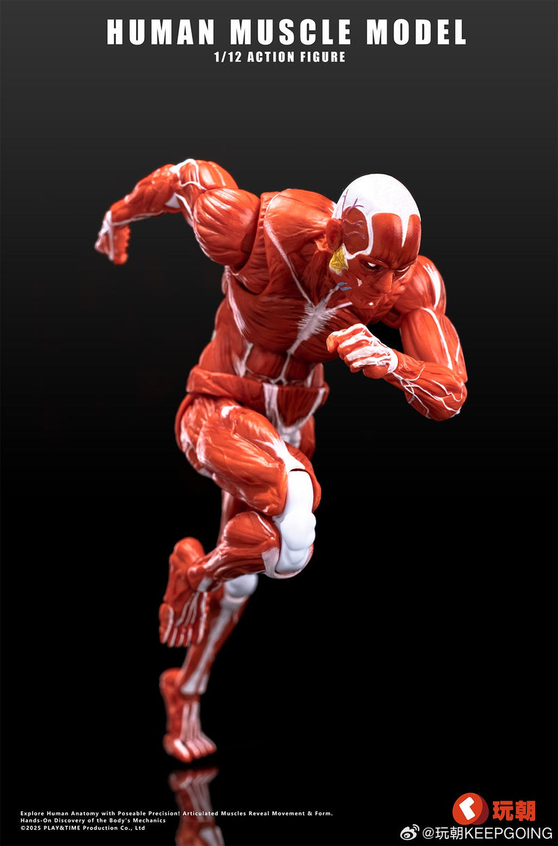 KEEPGOING Studio Modelo de músculo humano vermelho 1/12 boneco de ação JAPÃO OFICIAL
