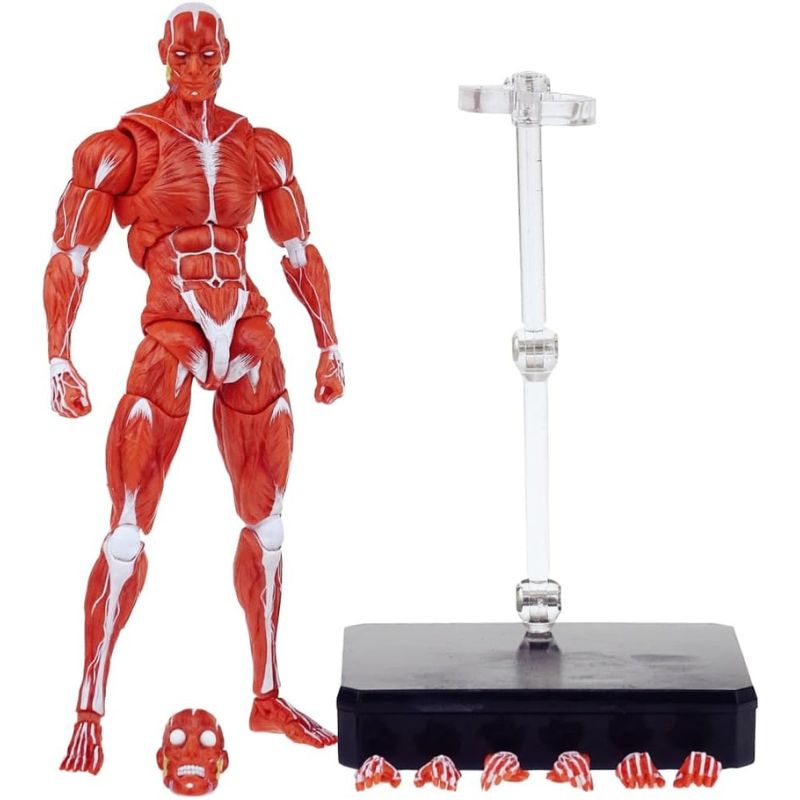 KEEPGOING Studio Human Muscle Model Red 1/12 Action Figure JAPAN OFFICIAL