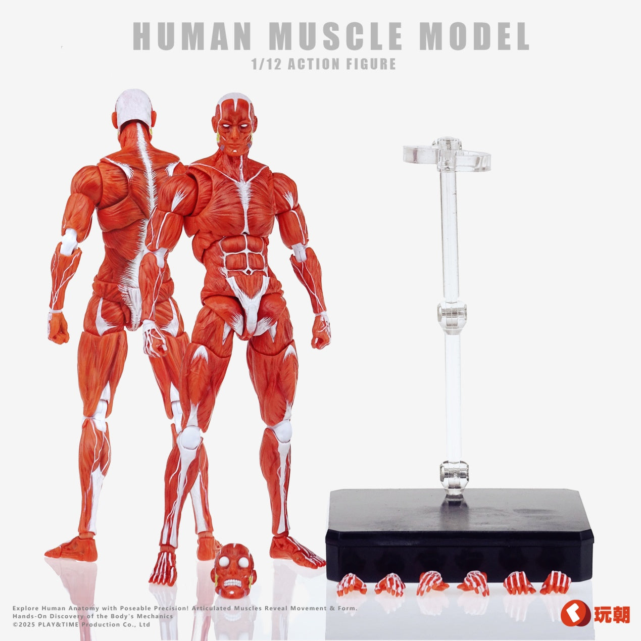 KEEPGOING Studio Human Muscle Model Red 1/12 Action Figure JAPAN