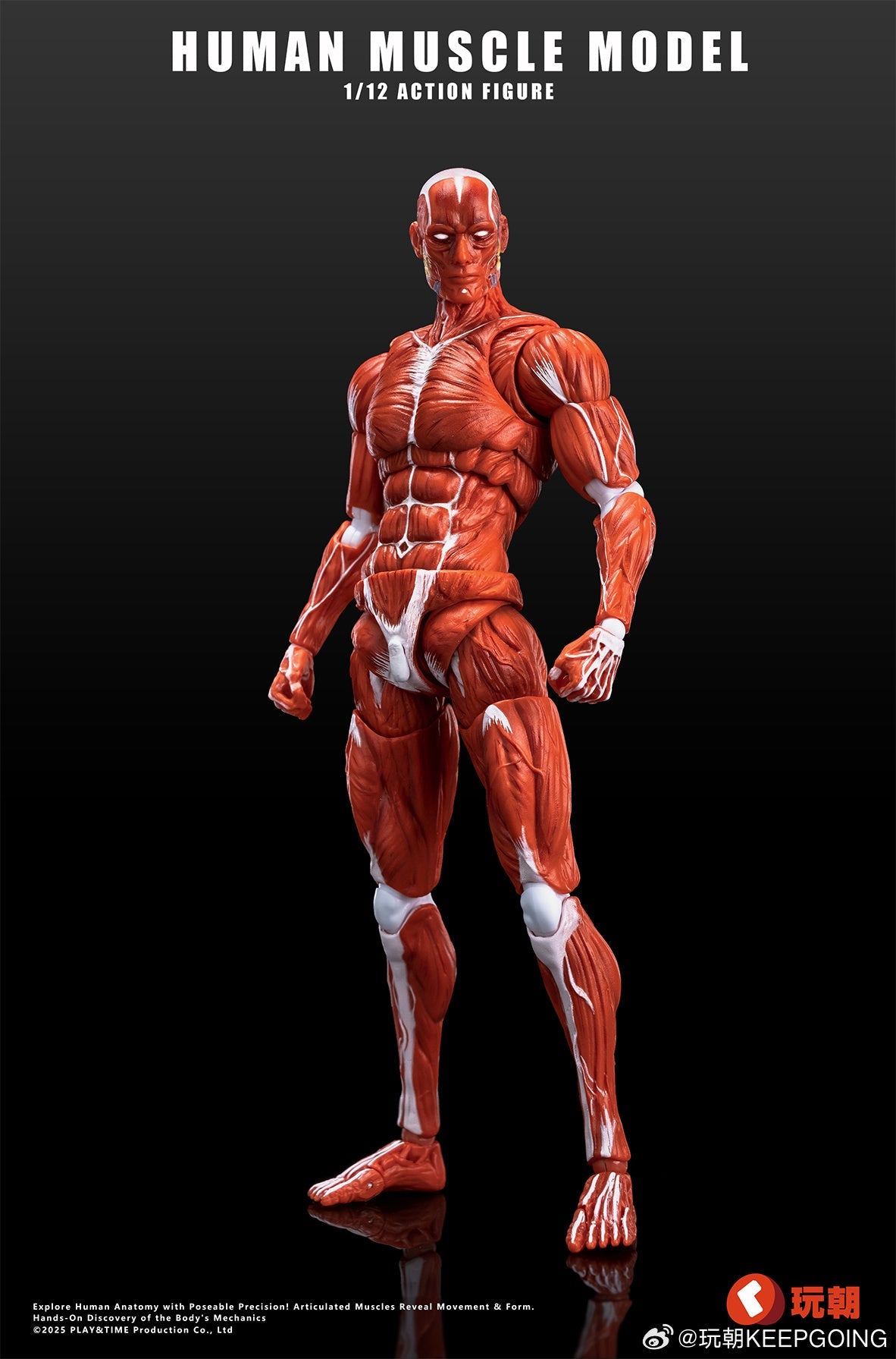 KEEPGOING Studio Human Muscle Model Red 1/12 Action Figure JAPAN