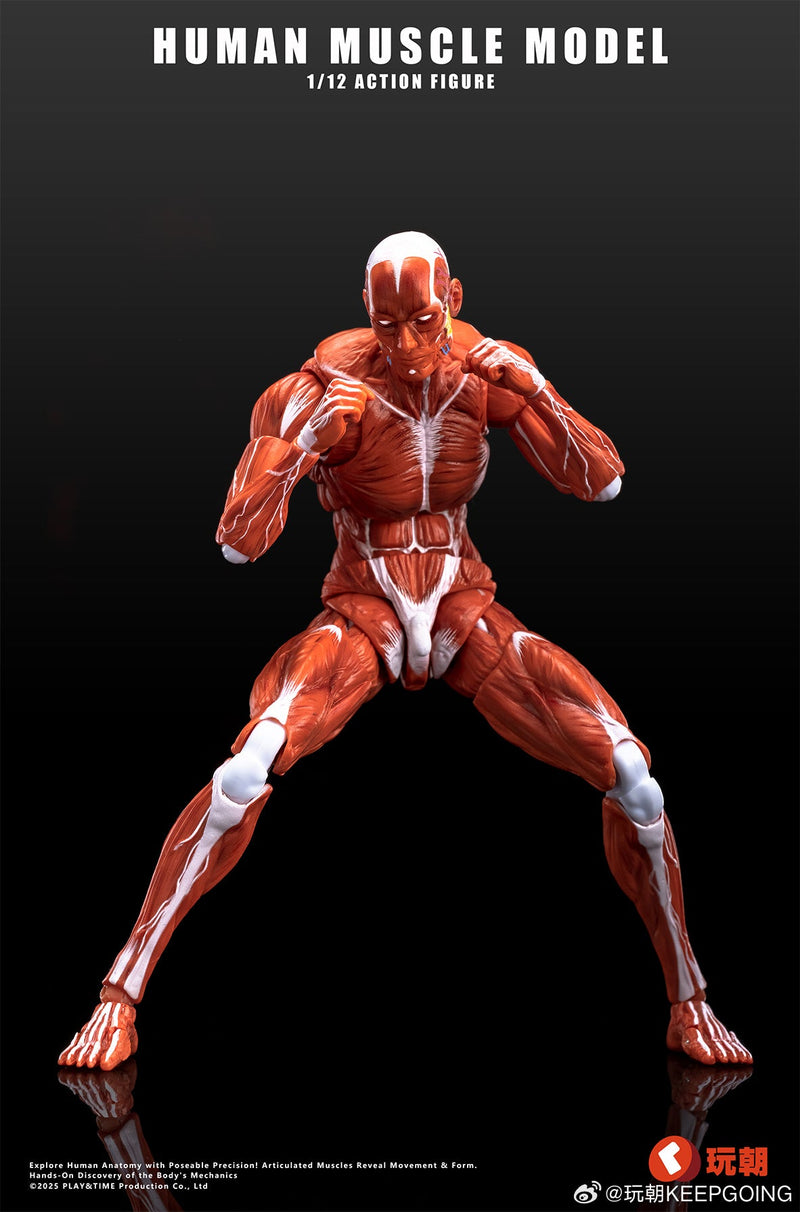 KEEPGOING Studio Modelo de músculo humano vermelho 1/12 boneco de ação JAPÃO OFICIAL
