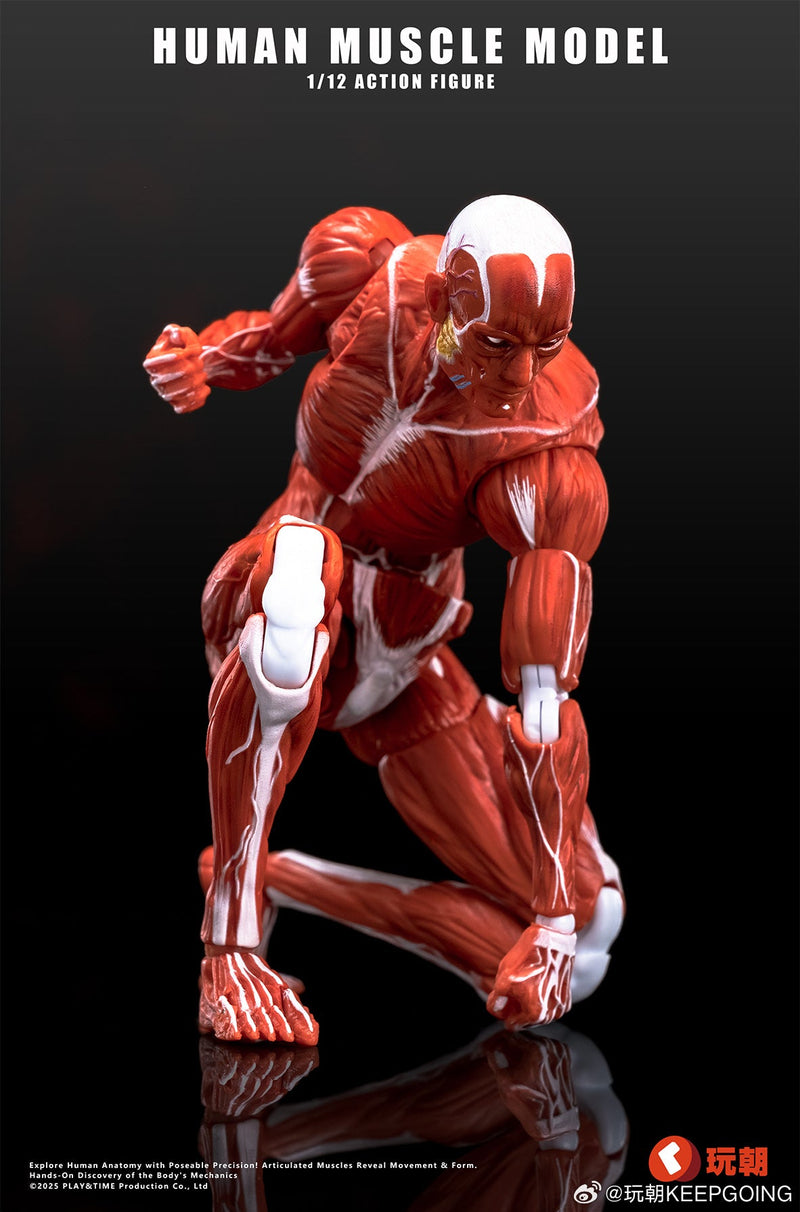 KEEPGOING Studio Modelo de músculo humano vermelho 1/12 boneco de ação JAPÃO OFICIAL