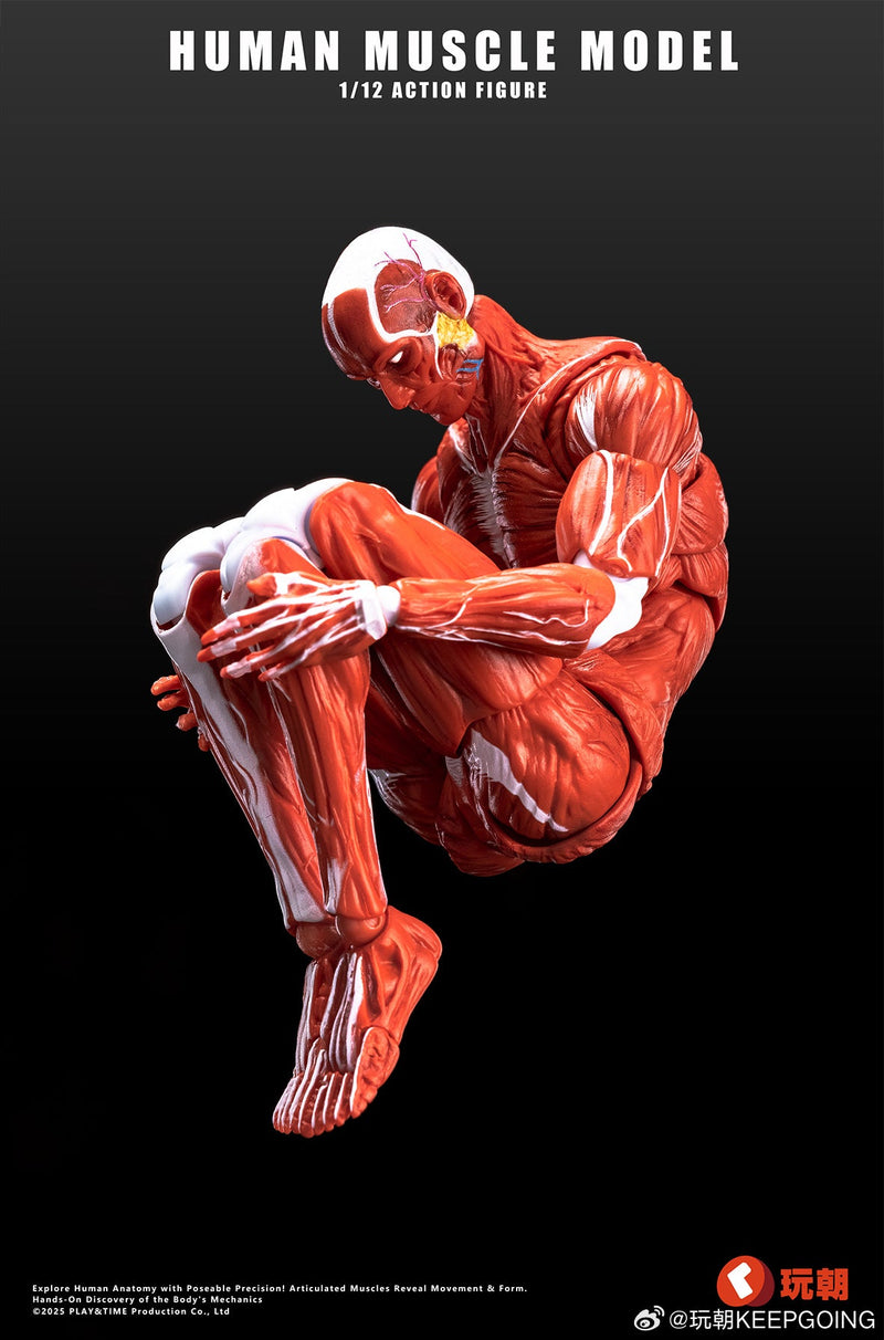 KEEPGOING Studio Modelo de músculo humano vermelho 1/12 boneco de ação JAPÃO OFICIAL