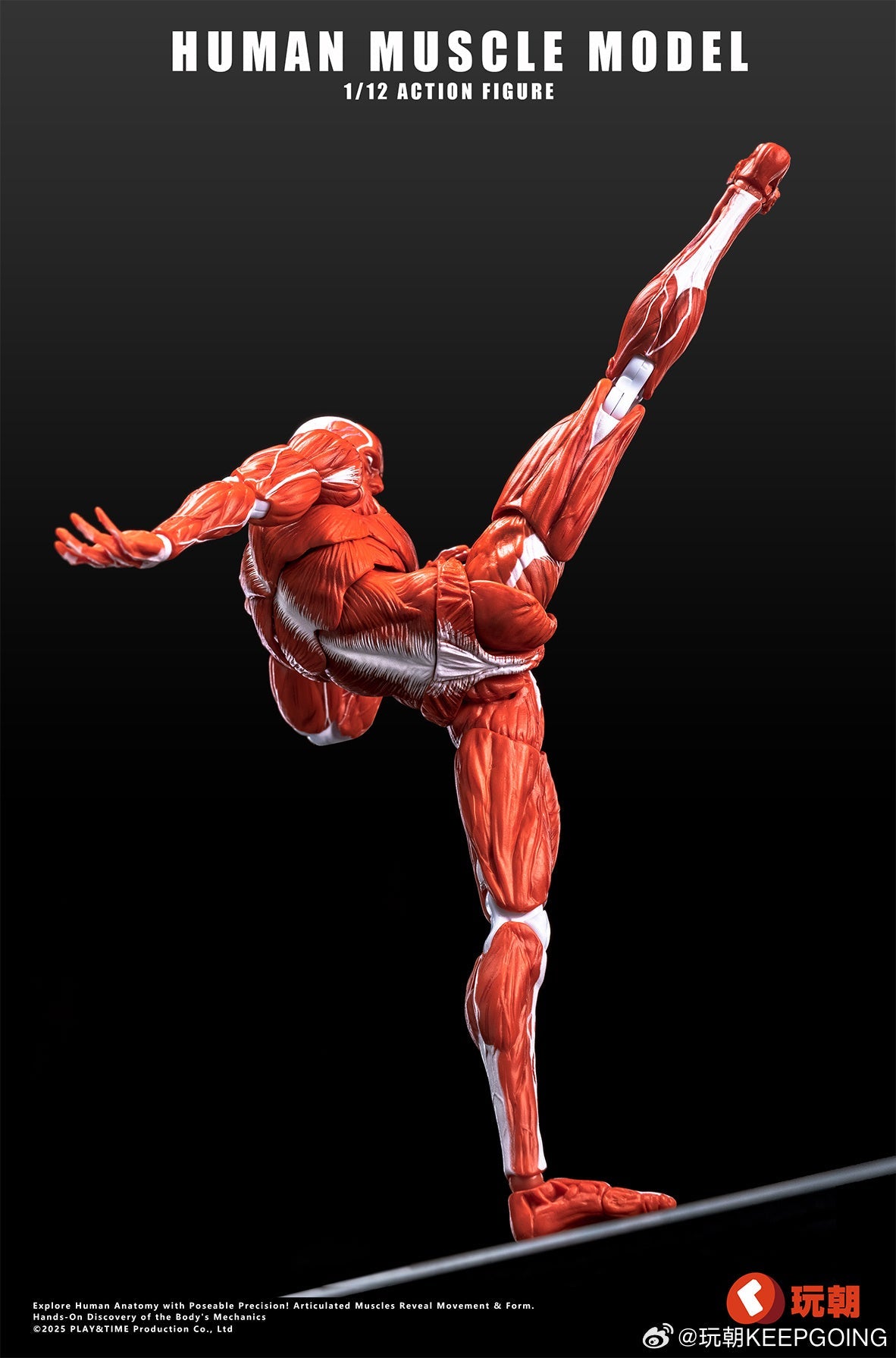 KEEPGOING Studio Human Muscle Model Red 1/12 Action Figure JAPAN