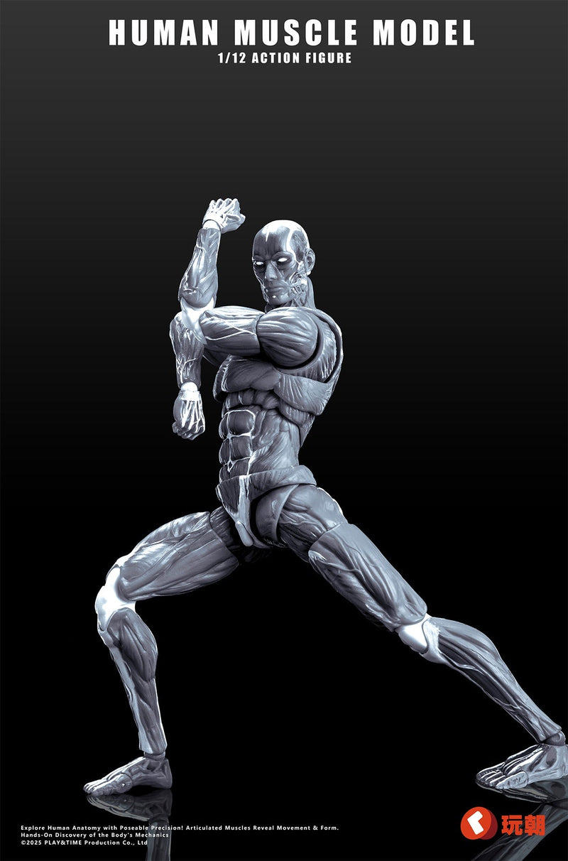 KEEPGOING Studio Modello di muscolo umano Grigio 1/12 Action Figure UFFICIALE GIAPPONE