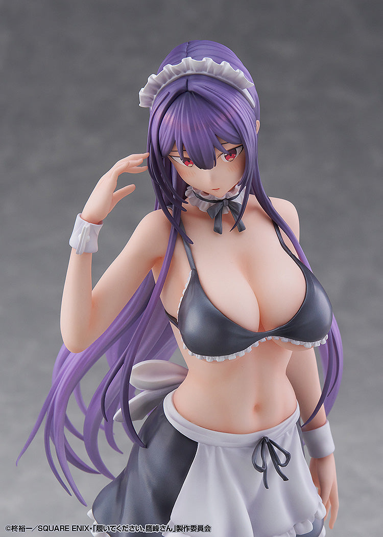 DMM Factory Please Put Them On, Takamine-san Takane Takamine 1/6 Figure JAPAN