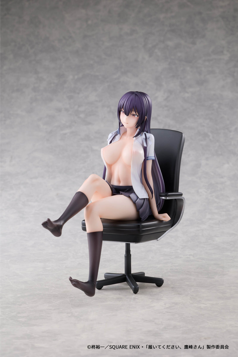 AFORCE x DRAGON HORSE Please Put Them On,Takamine-san Takane Takamine 1/6 Figure