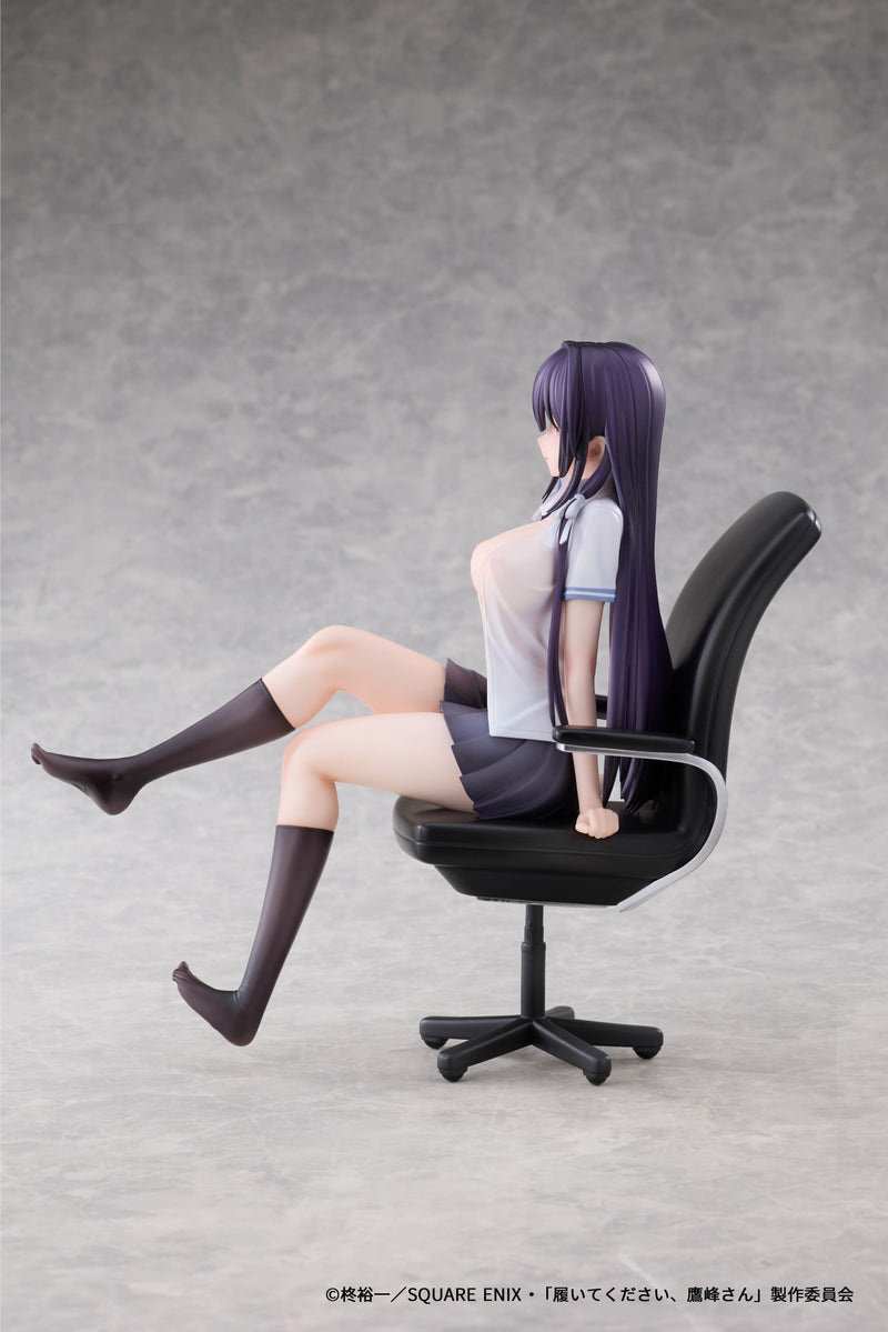 AFORCE x DRAGON HORSE Please Put Them On,Takamine-san Takane Takamine 1/6 Figure