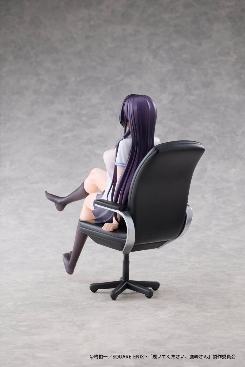 AFORCE x DRAGON HORSE Please Put Them On,Takamine-san Takane Takamine 1/6 Figure