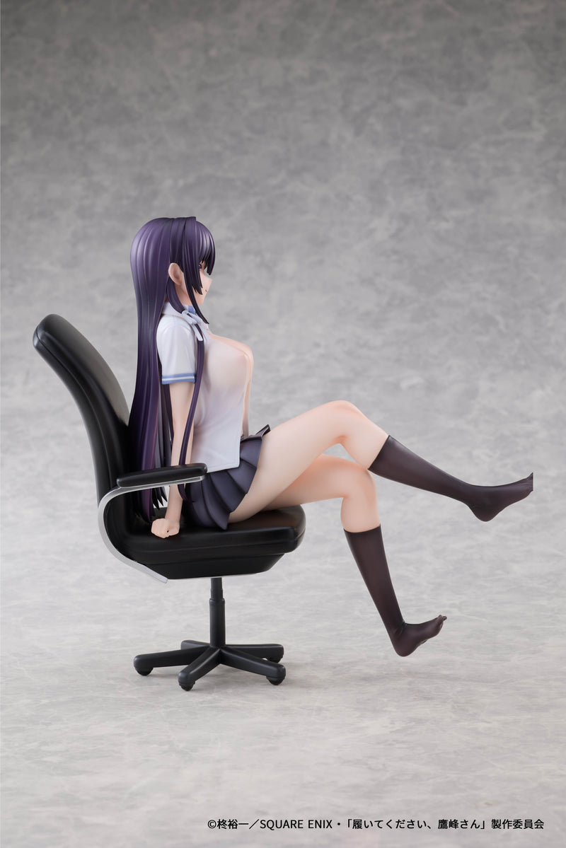 AFORCE x DRAGON HORSE Please Put Them On,Takamine-san Takane Takamine 1/6 Figure