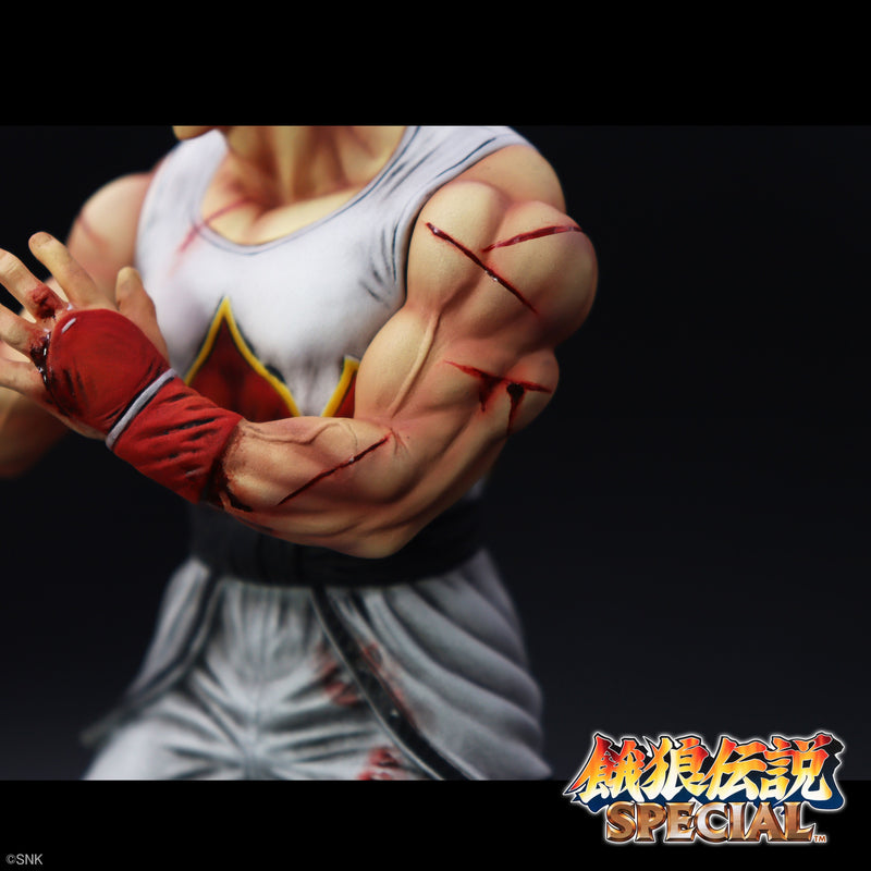 THE KING OF COLLECTORS'24 EX Fatal Fury Special Andy Bogard HG Damage Ver Figure