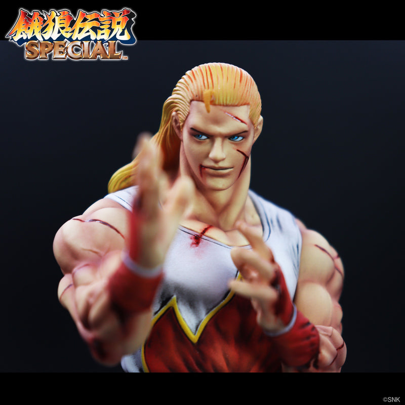 THE KING OF COLLECTORS'24 EX Fatal Fury Special Andy Bogard HG Damage Ver Figure