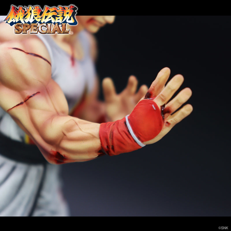 THE KING OF COLLECTORS'24 EX Fatal Fury Special Andy Bogard HG Damage Ver Figure