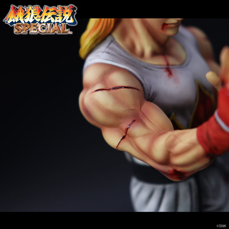 THE KING OF COLLECTORS'24 EX Fatal Fury Special Andy Bogard HG Damage Ver Figure