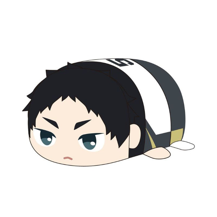 Haikyu!! PoteKoro Mascot Keiji Akaashi Big 2 Plush JAPAN OFFICIAL