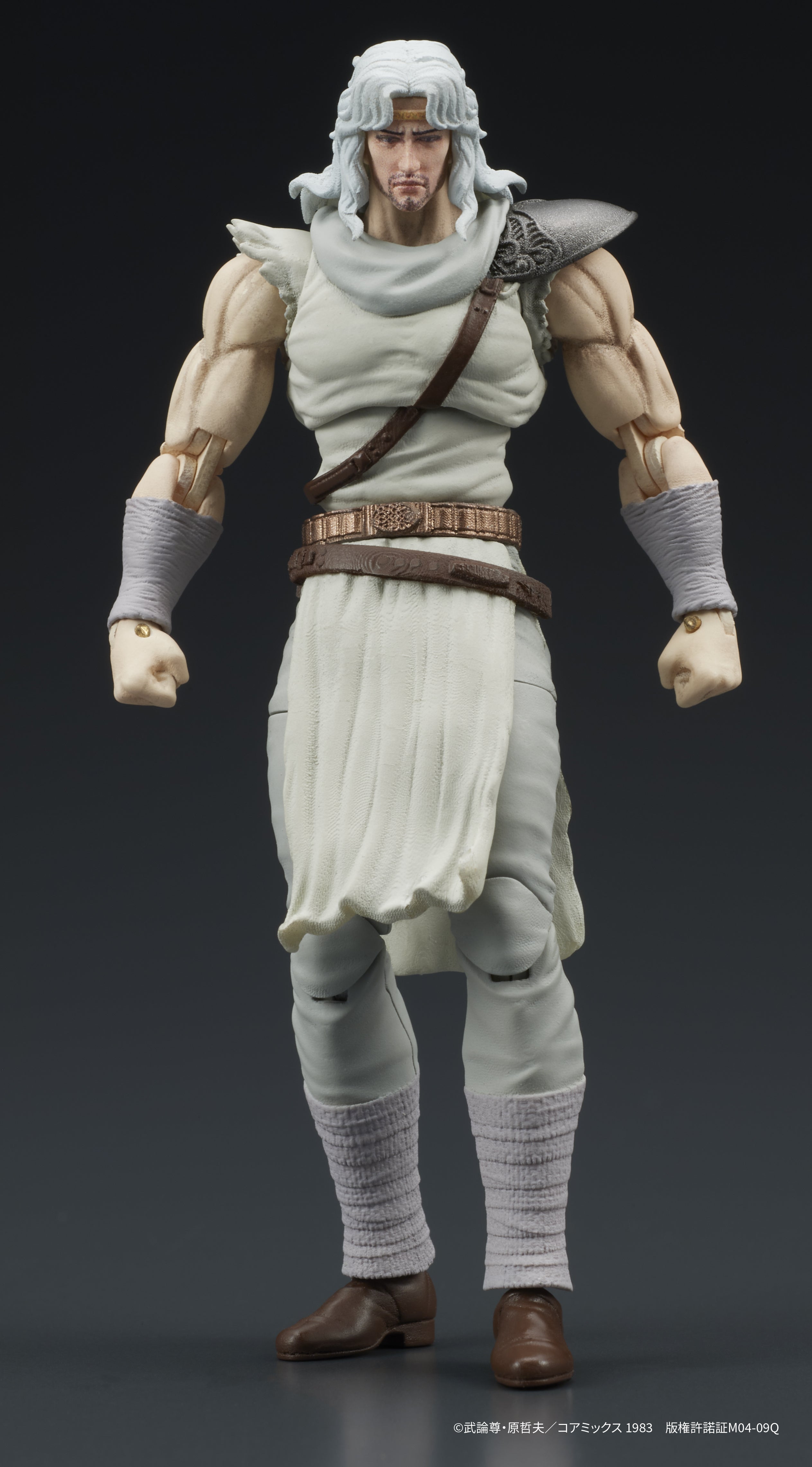DIG DIGACTION Fist of the North Star Toki Action Figure JAPAN