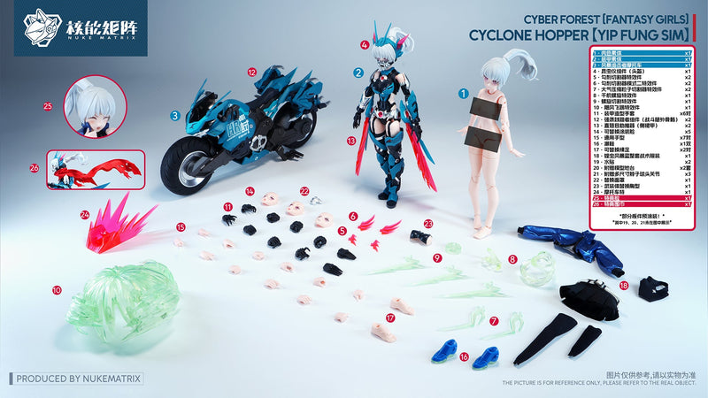 Cyber Forest Fantasy Girls FF0120 Cyclone Hopper Yip Fung Sim Model Kit JAPAN