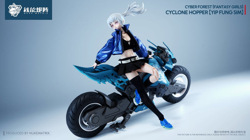 Cyber Forest Fantasy Girls FF0120 Cyclone Hopper Yip Fung Sim Model Kit JAPAN